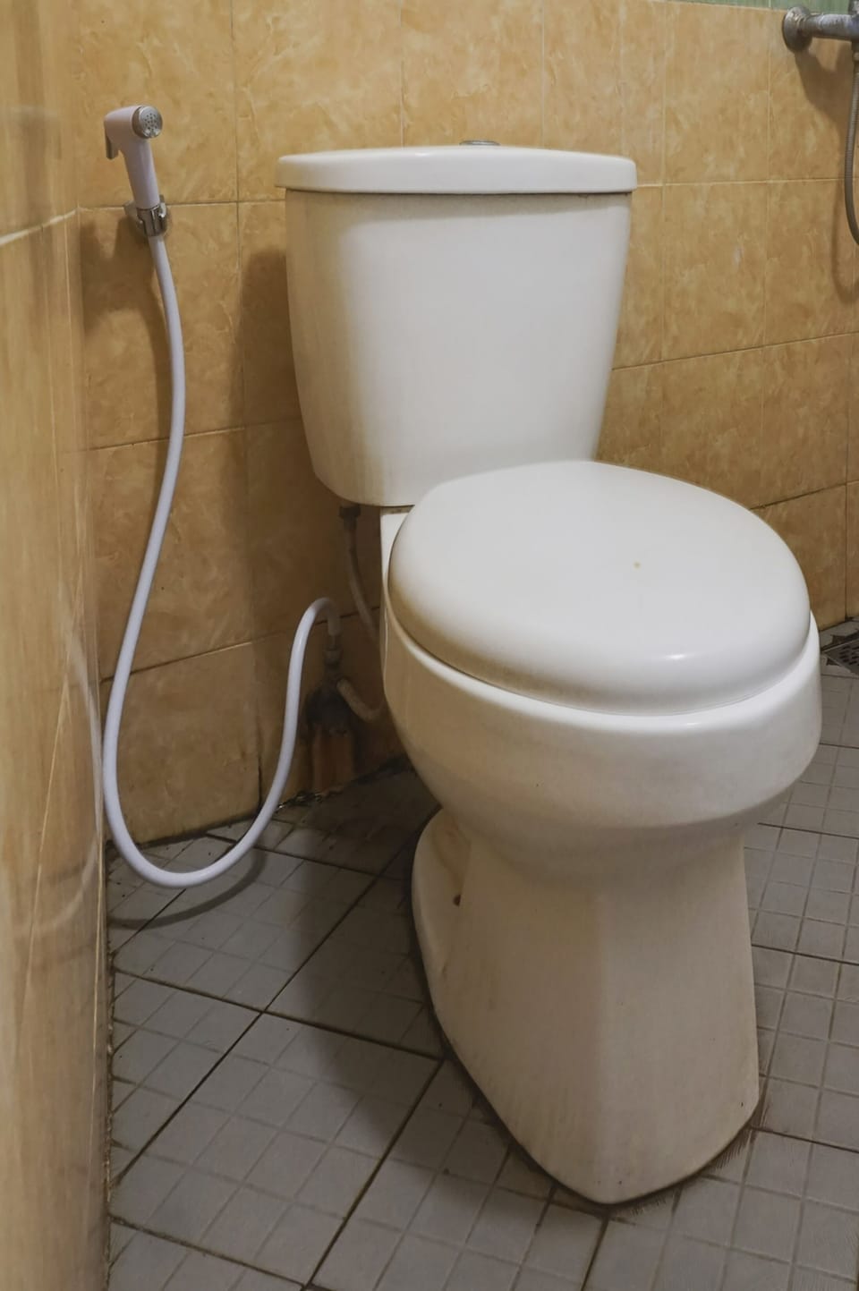 Standard Double Room | Bathroom | Shower, rainfall showerhead, free toiletries, towels