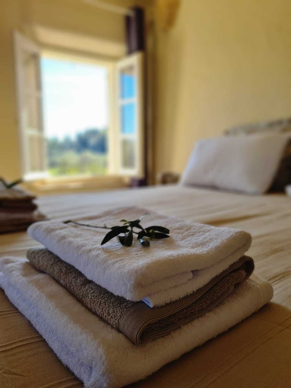 Elite Double Room, Private Bathroom, Pool View (Chambre Mourvèdre ) | 1 bedroom