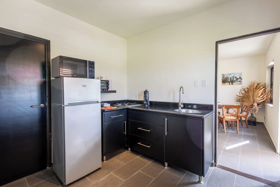 Apartment, 1 Bedroom, Smoking, Terrace | Interior