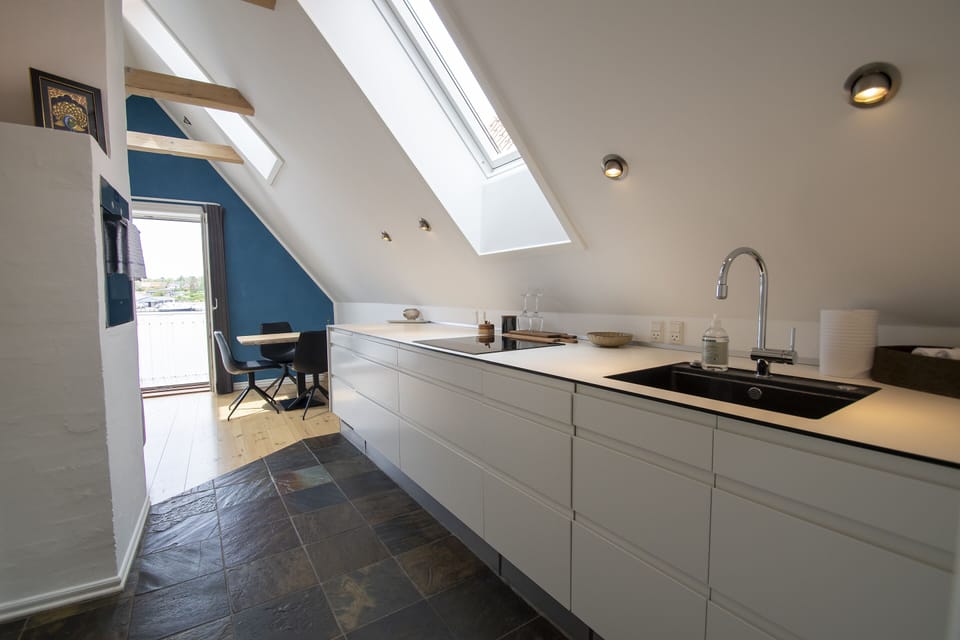 Panoramic Apartment | Private kitchen | Fridge, dishwasher, electric kettle, cookware/dishes/utensils