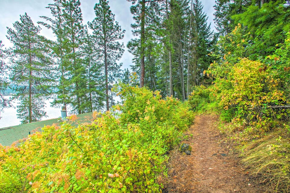 House (1 Bedroom) | Interior