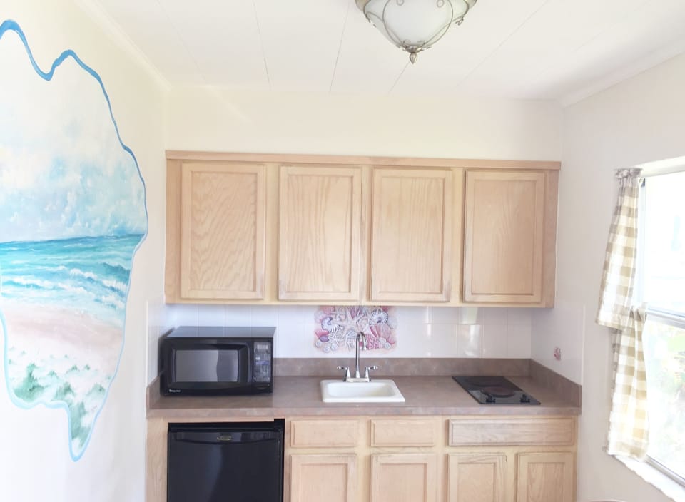 Limited Kitchen Efficiency - Queen | Private kitchenette | Microwave, toaster, freezer