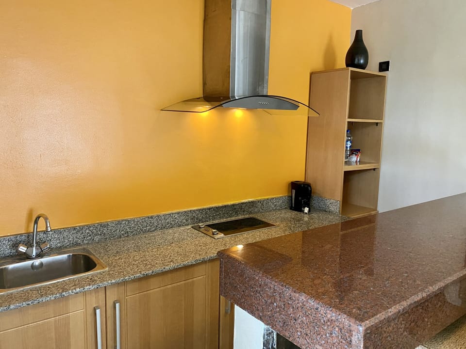 Exclusive Double Room | Private kitchen | Mini-fridge, electric kettle, cookware/dishes/utensils
