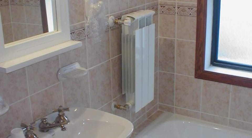 Bathroom sink