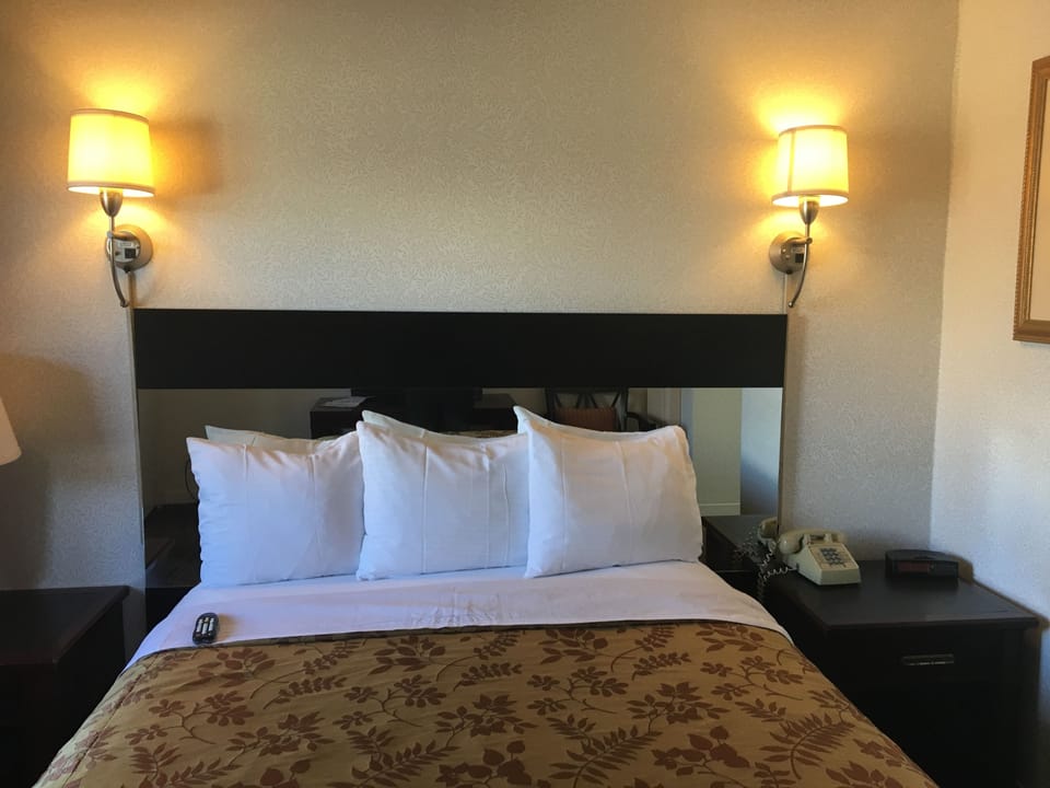Room, 1 Queen Bed, Non Smoking, Private Bathroom | Laptop workspace, blackout drapes, iron/ironing board, free WiFi