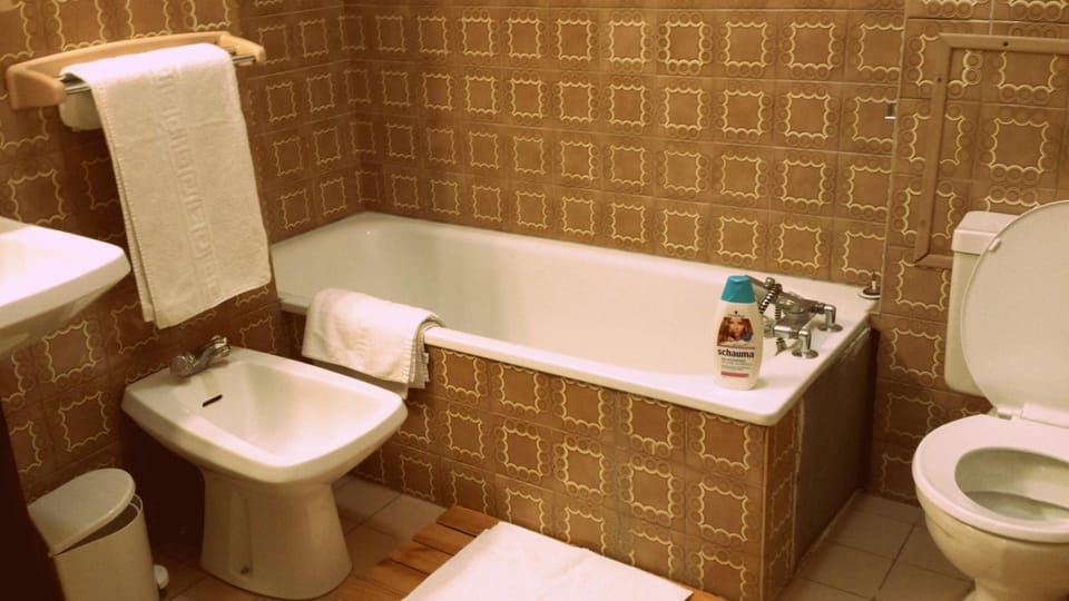 Hair dryer, bidet, towels