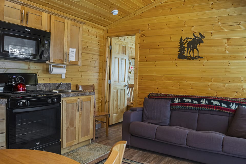 Flat-screen TV, DVD player, table tennis