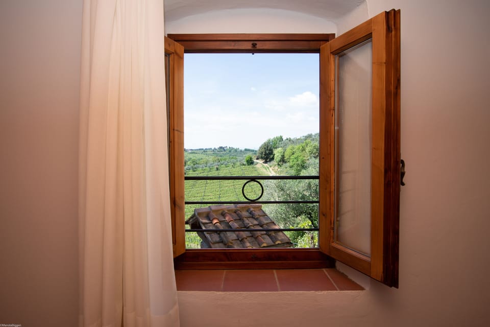 Land view from property
