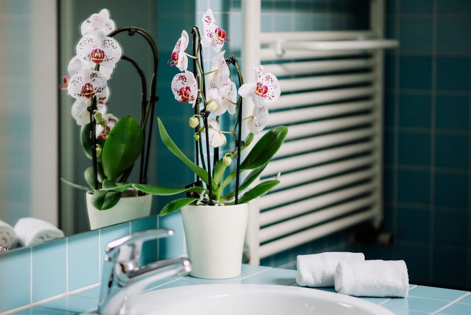 Premium Triple Room, 1 Bedroom, Pool View, Garden Area | Bathroom | Shower, rainfall showerhead, free toiletries, hair dryer