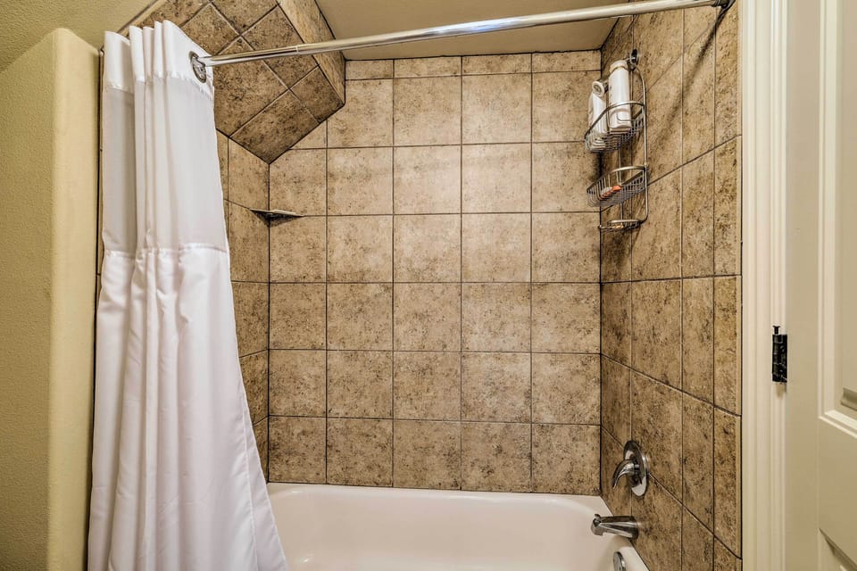 Fayetteville Apt by Univ of Arkansas Campus! Apartment in Fayetteville