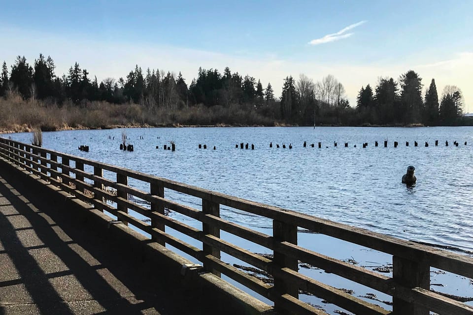 House (0 Bedroom) | Interior