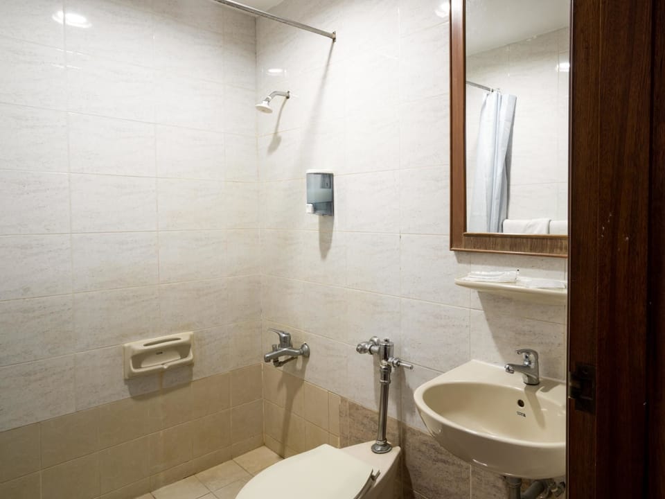Deluxe Room | Bathroom | Shower, free toiletries, hair dryer, towels