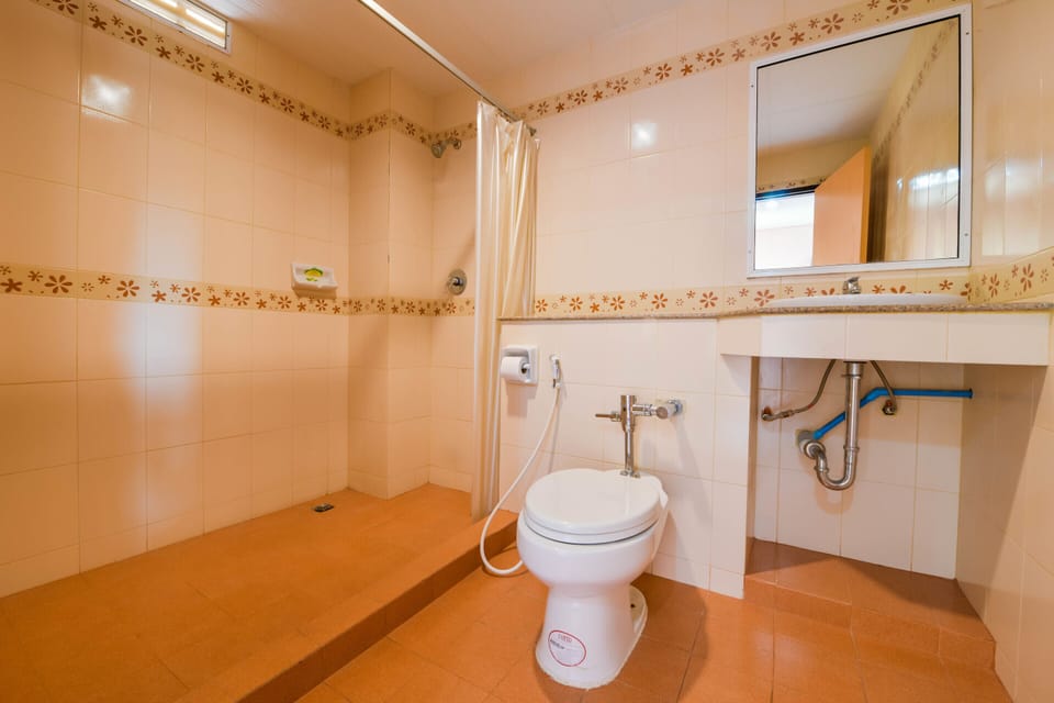 Deluxe Double Room | Bathroom | Shower, towels, soap, shampoo