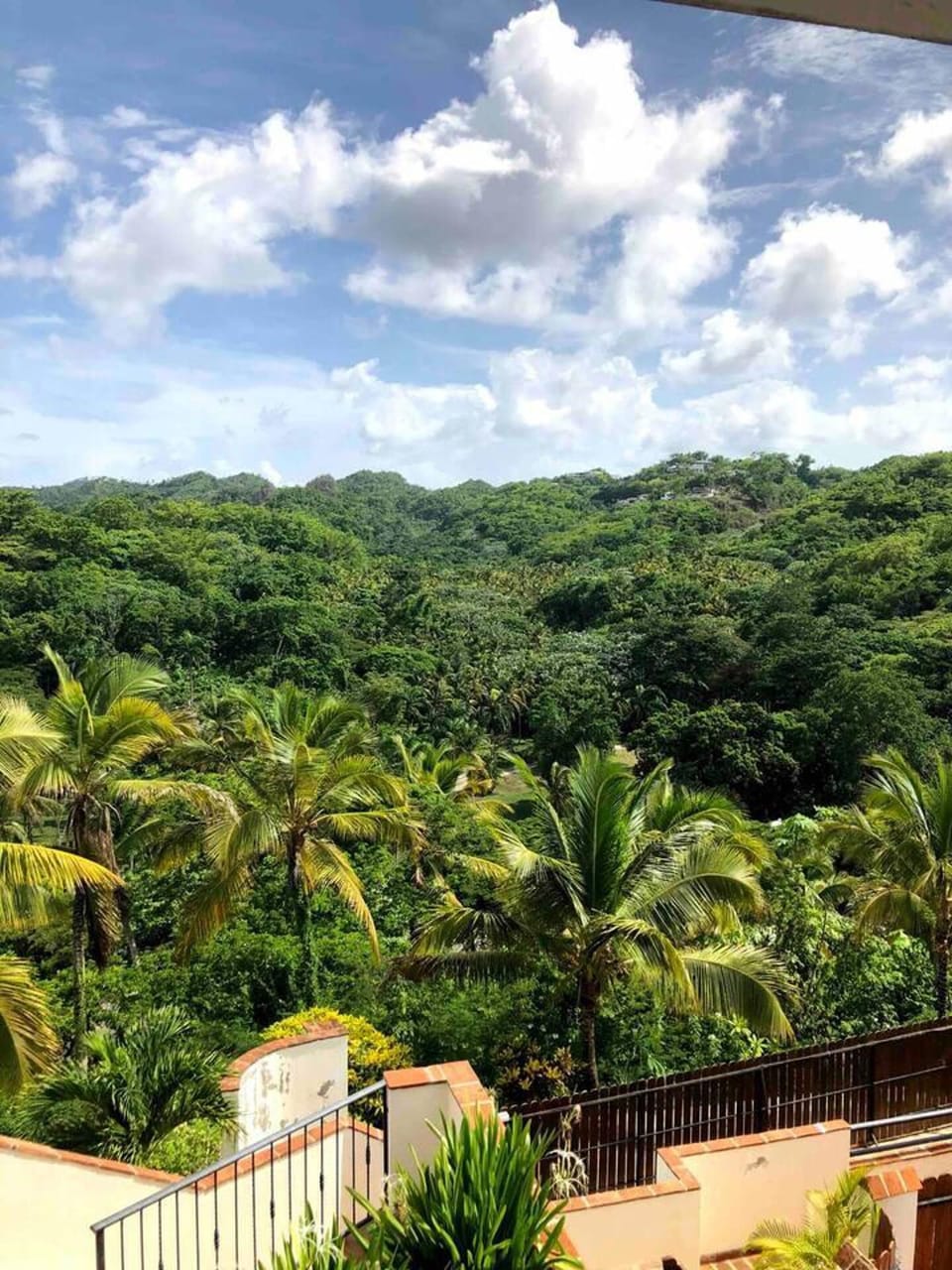 House | View from property