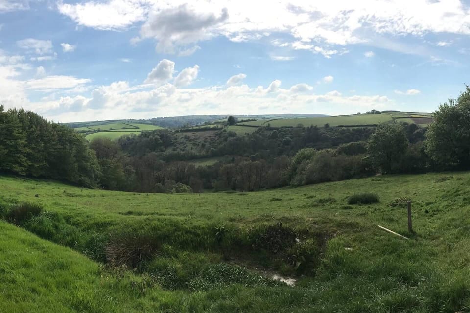 House | Property grounds