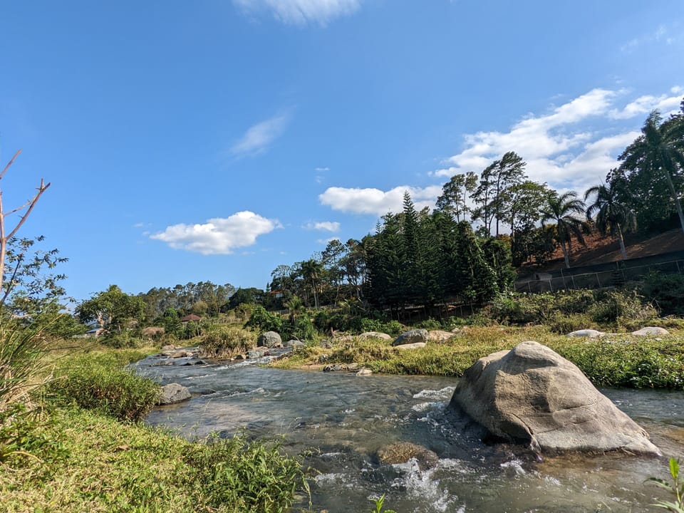 Water view