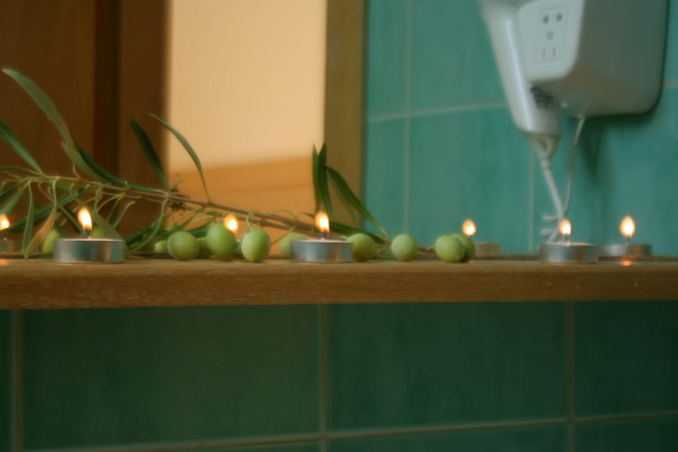 Deluxe Double or Twin Room | Bathroom | Shower, rainfall showerhead, hair dryer, towels