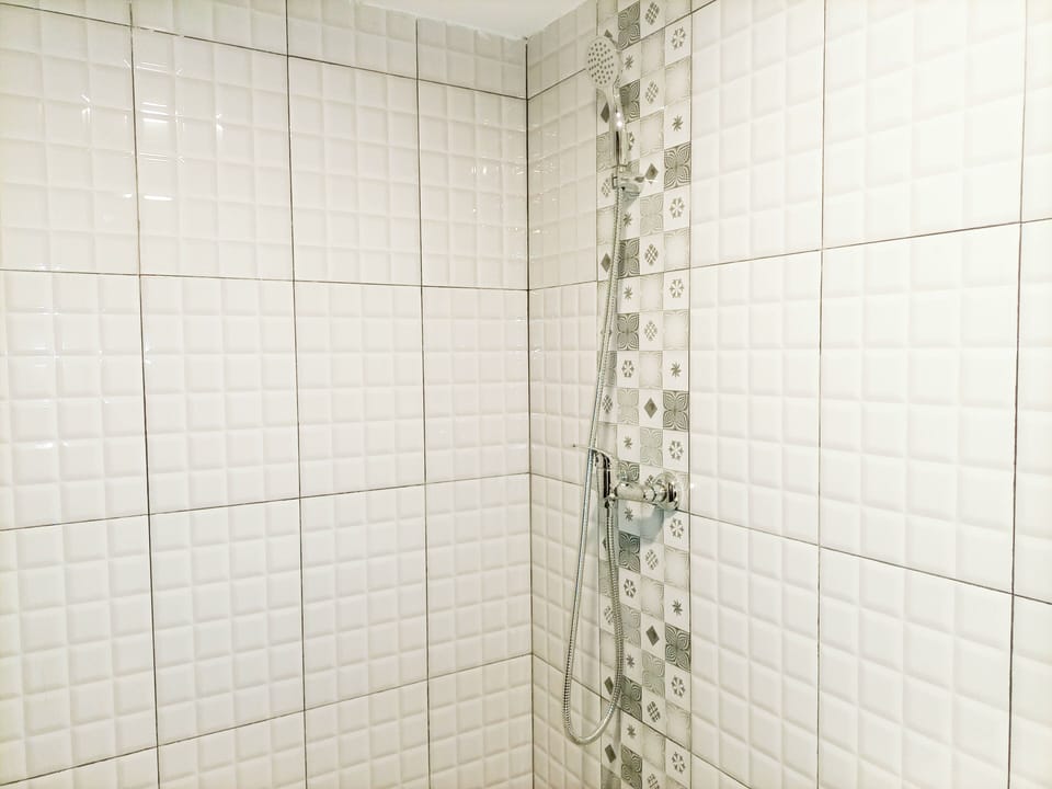 Apartment | Bathroom | Shower, towels