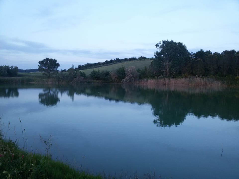 Fishing