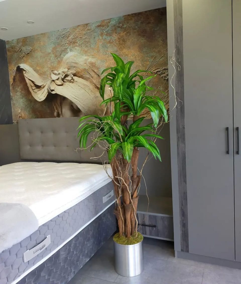 Standard Apartment | 1 bedroom, free WiFi