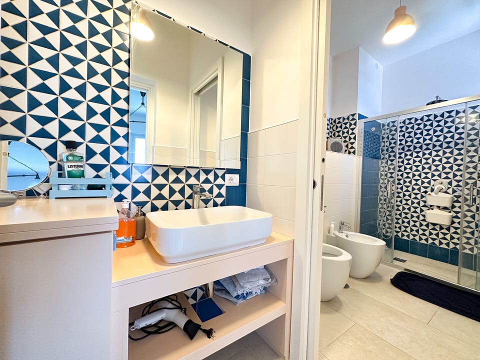 Shower, hair dryer, bidet, towels