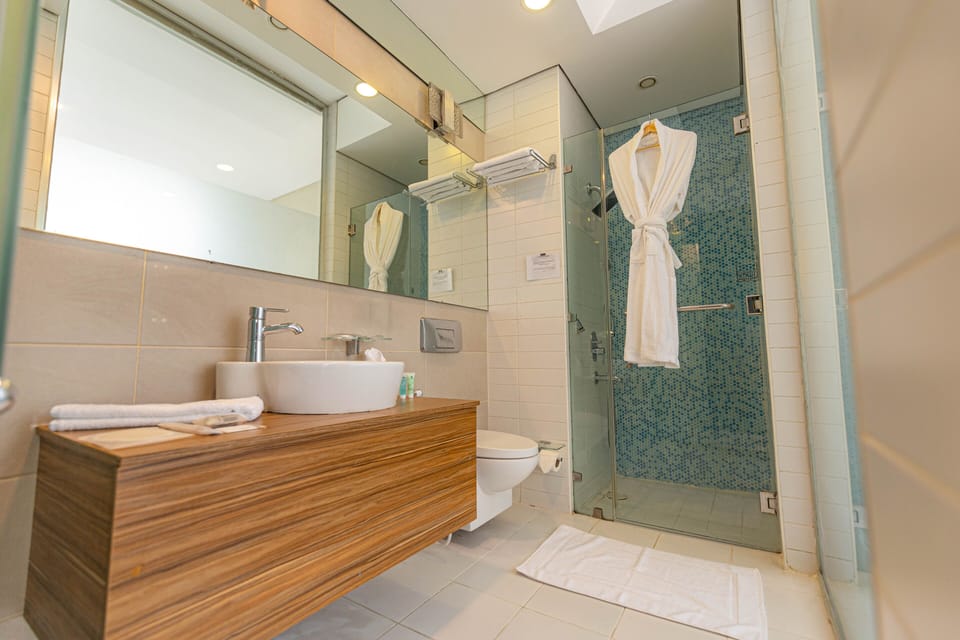 Hair dryer, slippers, bidet