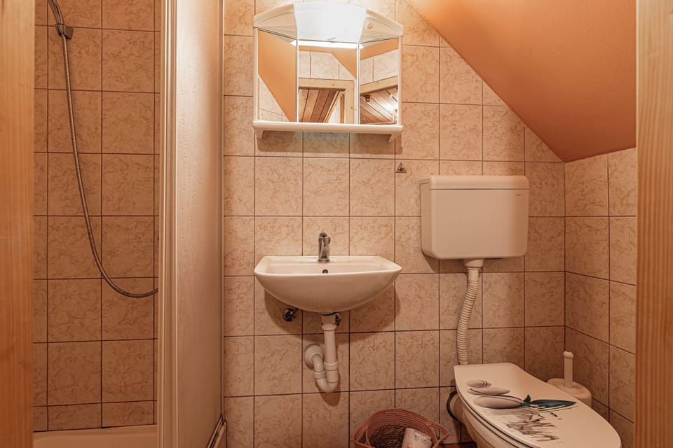 Kunstek Farmhouse w/ Private Sauna House in Slovenia
