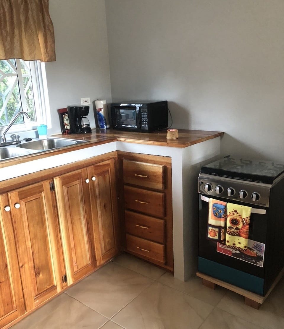 Studio | Private kitchen | Coffee/tea maker, fridge, oven, electric kettle