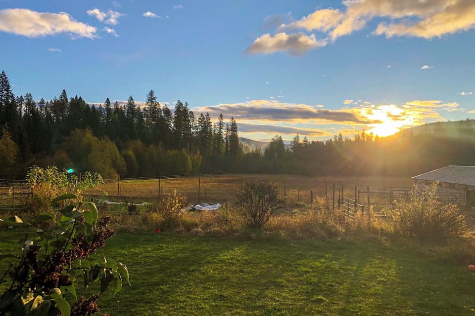 House (1 Bedroom) | Interior