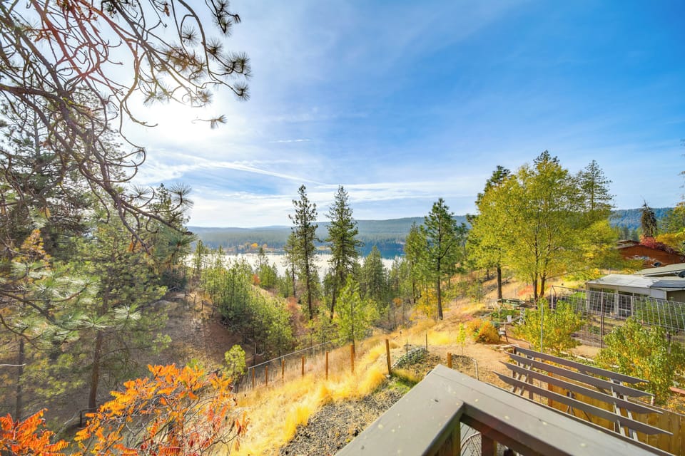 Apartment (1 Bedroom) | Interior