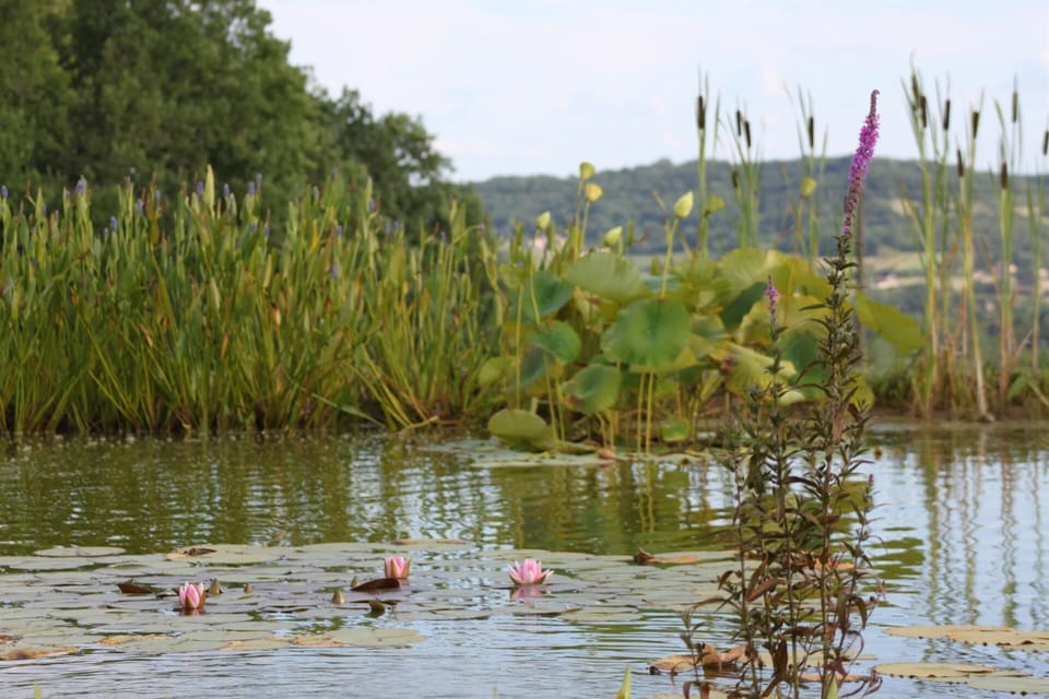 The Grand Longere Bed and Breakfast in Nouvelle-Aquitaine