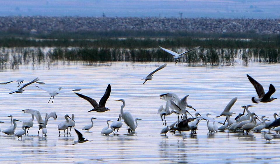 Apartment, Smoking | 1 bedroom