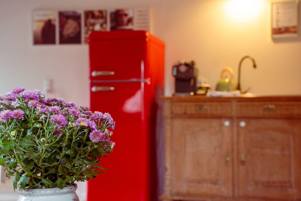 Deluxe Triple Room, 1 Bedroom, Kitchenette | Private kitchen | Fridge, coffee/tea maker, electric kettle