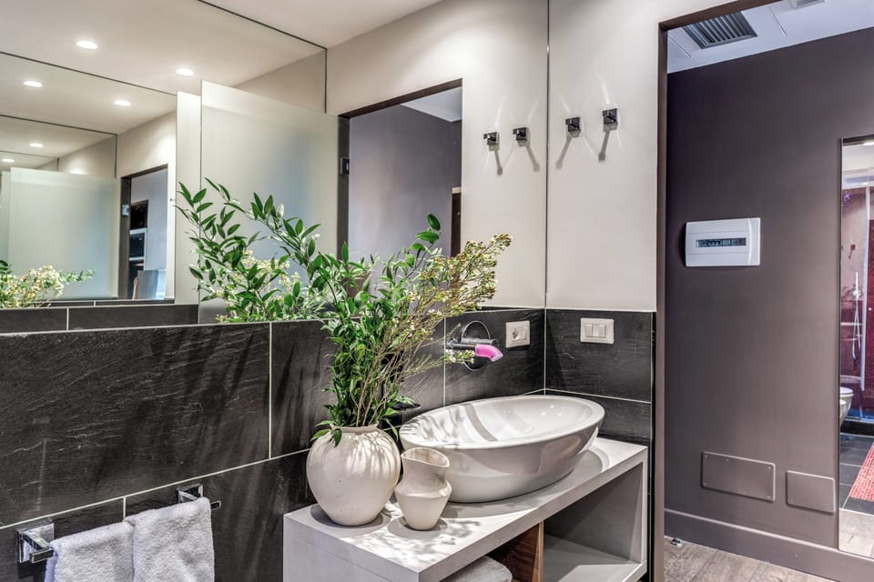 Deluxe Room | Bathroom | Shower, rainfall showerhead, eco-friendly toiletries, hair dryer