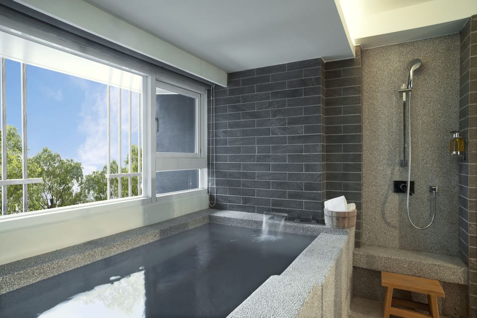 Combined shower/tub, spring water tub, hair dryer, slippers