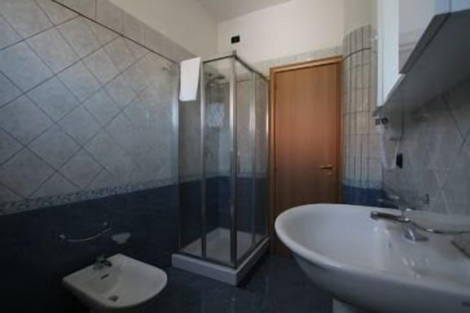 Double Room Single Use | Bathroom | Shower, free toiletries, hair dryer, bidet