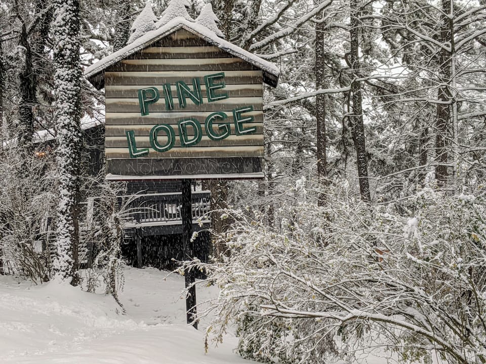 Log Cabin + Hot tub + Kitchen + Fireplace at Loblolly Pines | Mountain view