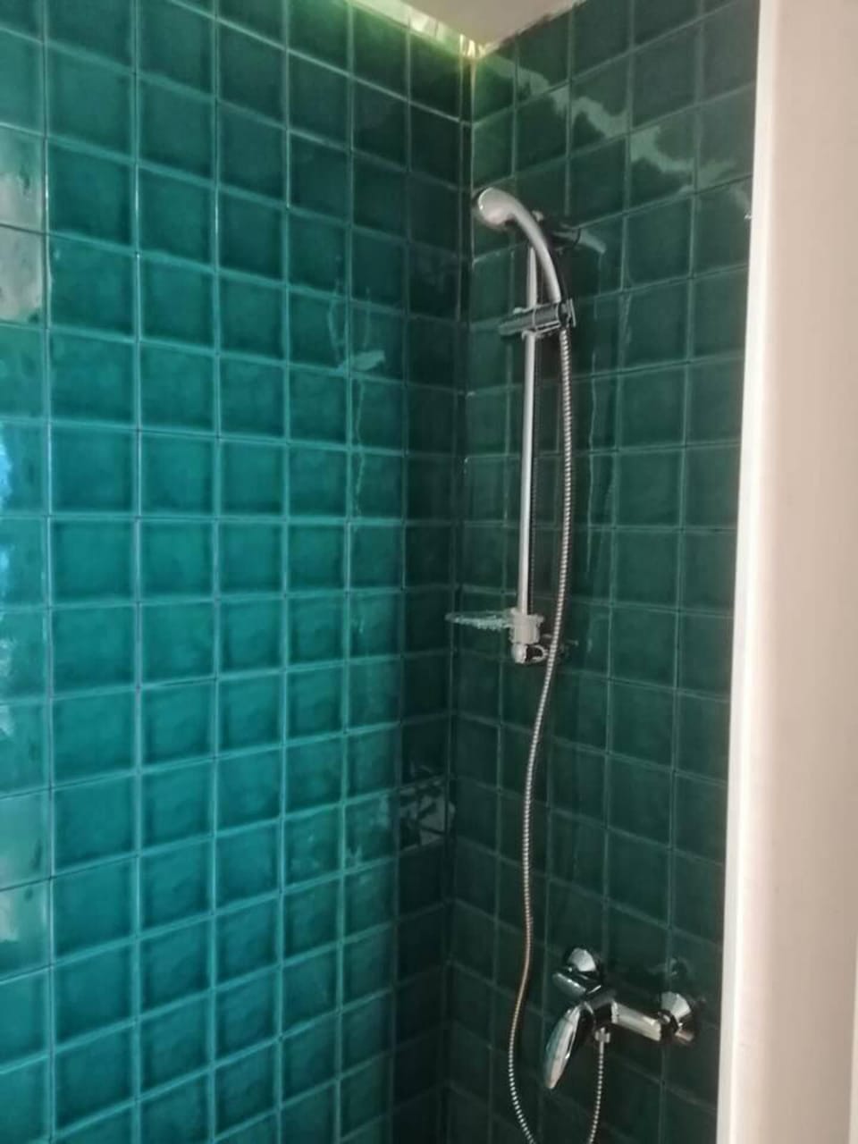 Apartment | Bathroom | Shower, towels