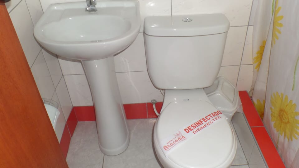 Shower, towels, soap, toilet paper