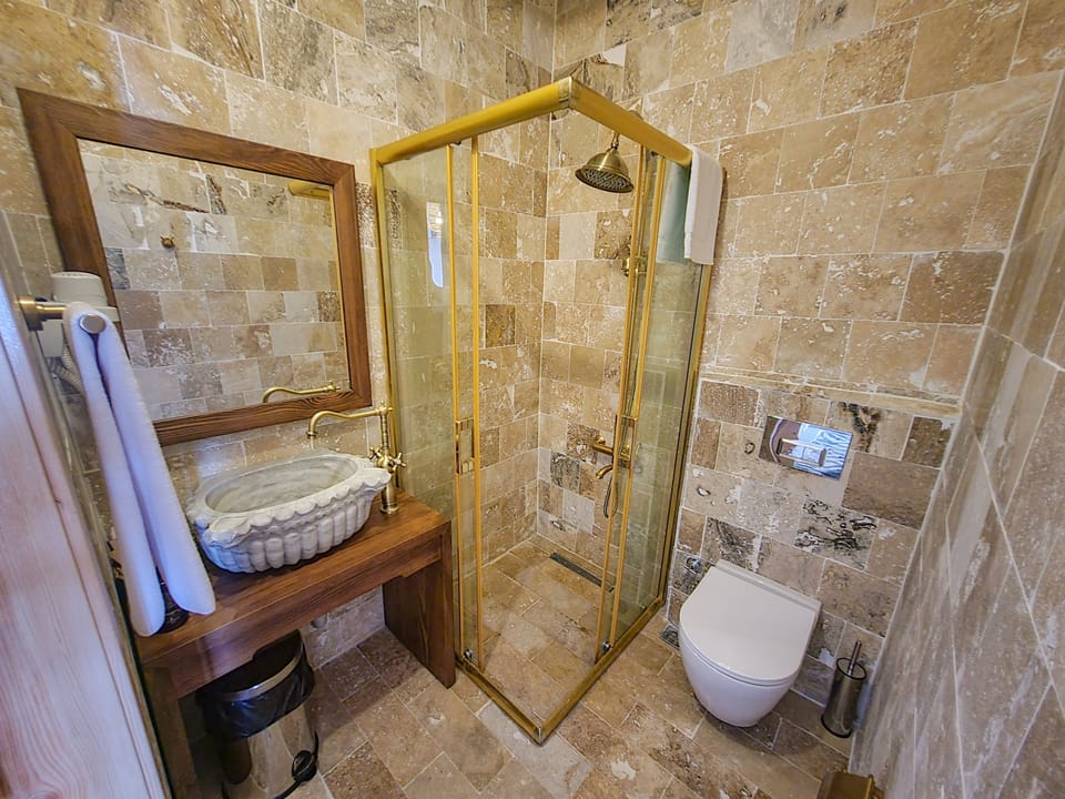 Deluxe Room | Bathroom | Shower, rainfall showerhead, hair dryer, bathrobes