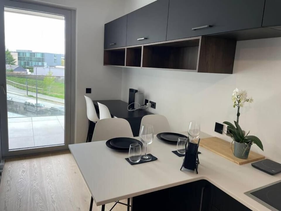 Full-size fridge, microwave, oven, dishwasher