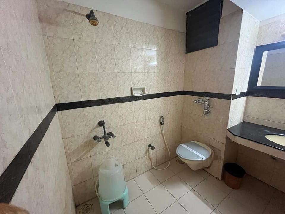 Deluxe Double Room | Bathroom | Shower, hydromassage showerhead, free toiletries, towels