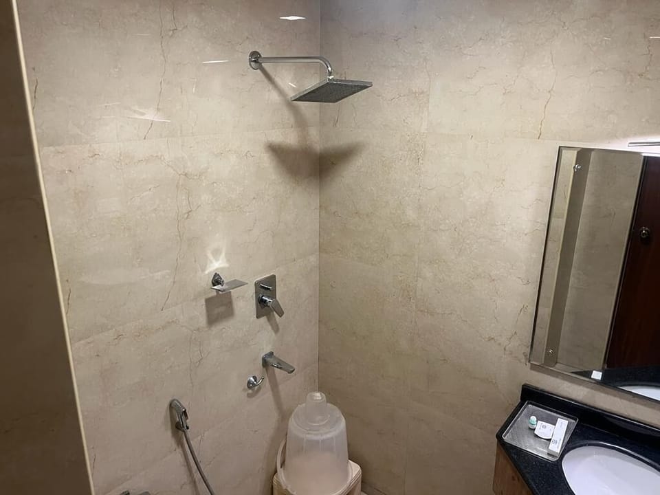 Deluxe Double Room | Bathroom | Shower, hydromassage showerhead, free toiletries, towels