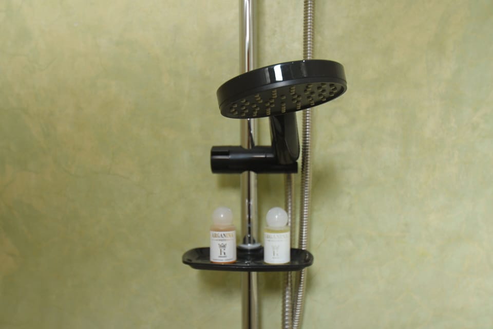 Standard Double Room | Bathroom | Shower, rainfall showerhead, free toiletries, hair dryer
