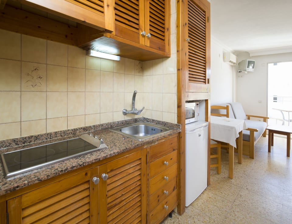 Studio, Balcony | Private kitchenette | Fridge, microwave, stovetop, electric kettle