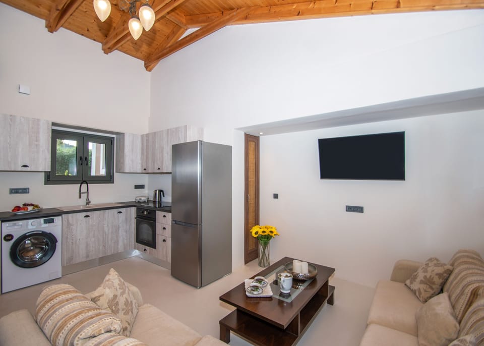 Basic Villa | Private kitchen | Electric kettle, cookware/dishes/utensils