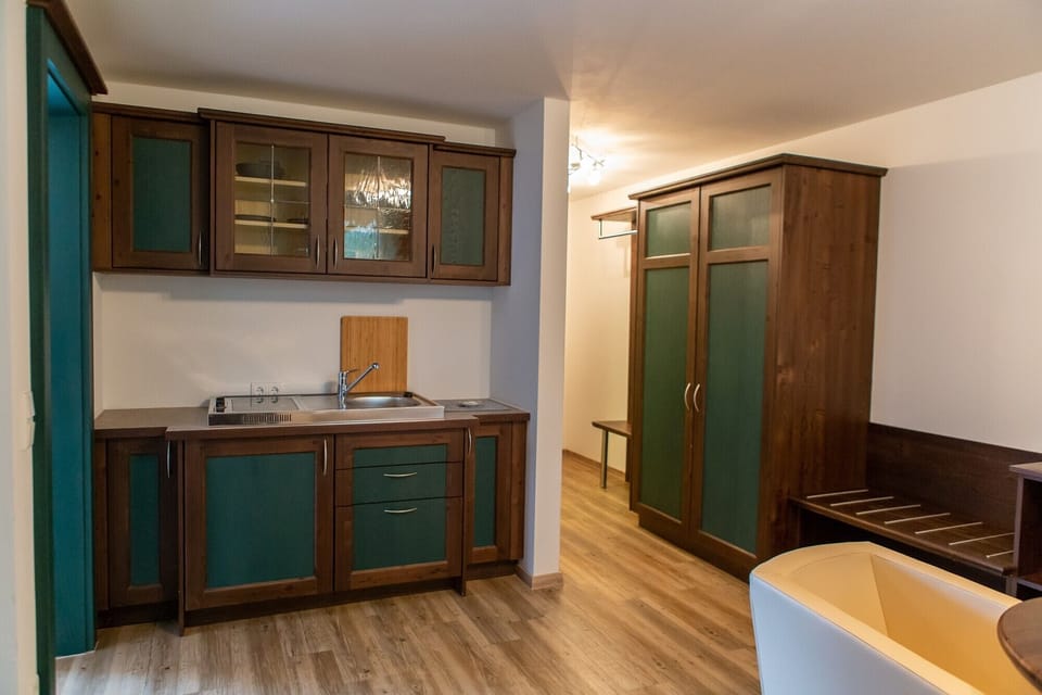 Deluxe Apartment | Private kitchen
