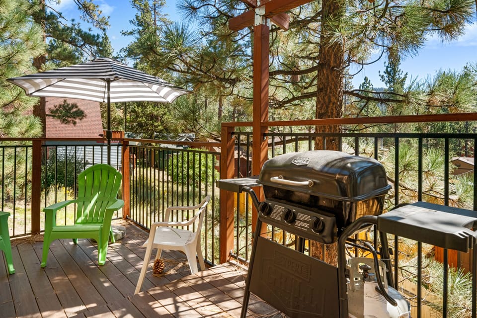 BBQ/picnic area