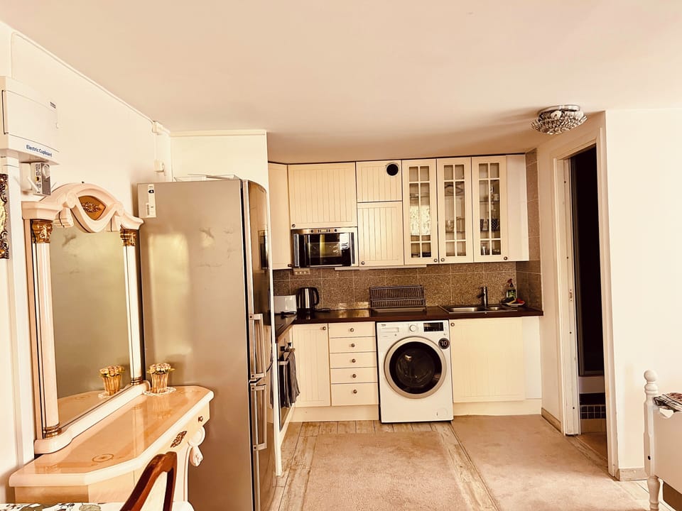 Apartment, 1 Bedroom, Terrace, Garden View | Laundry