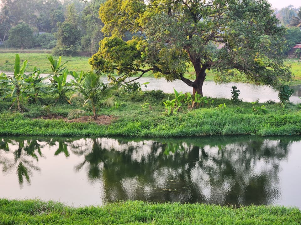 Lake view